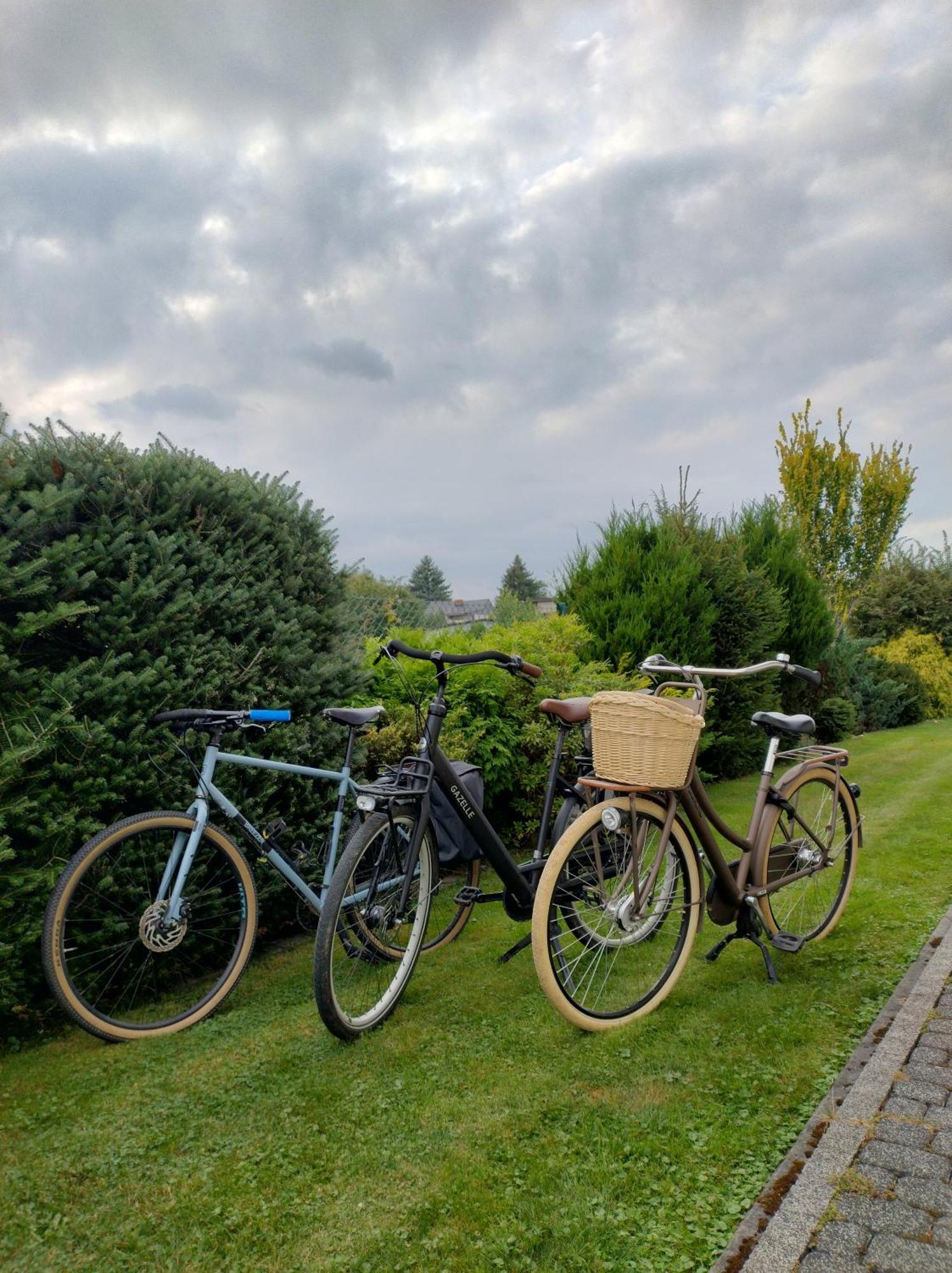 Domek Zgredek Żywiec Dış mekan fotoğraf